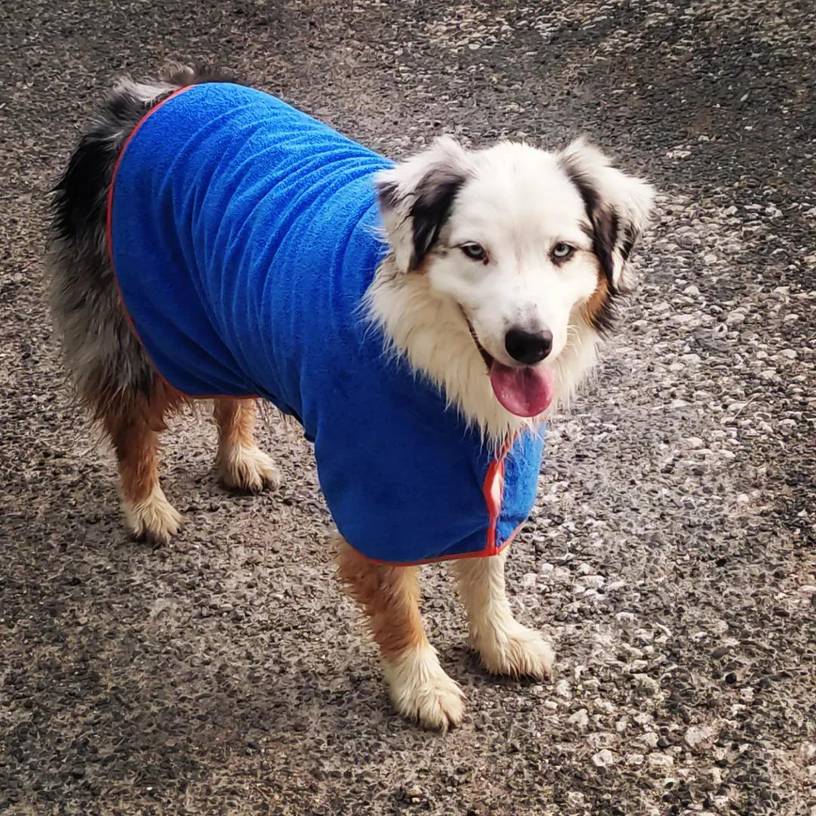 Hundebademantel aus Microfaser mit Klettverschluss