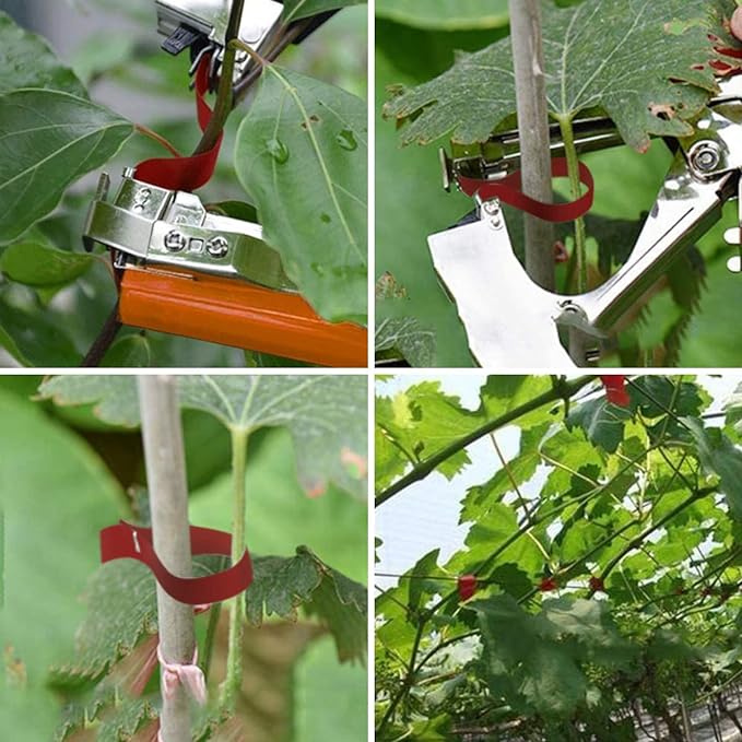 PLANTFIXPRO Schnellbinder für Pflanzen, Tomaten, Gurken, Rosen, Obstgarten, Weinpergola, Paket Zange + 10 Bandrollen + 10.000 Heftklammern